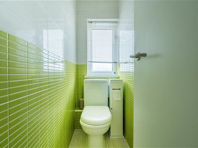 Picture 11
